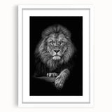 Lion-themed wall art print framed in white with a mat, showcasing a majestic lion design, perfect for adding a touch of wildlife elegance to any room.
