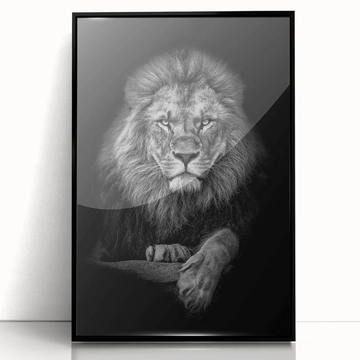 Framed acrylic wall art featuring a striking close-up of a lion design, set against a sleek black border, perfect for animal lovers and wildlife decor enthusiasts.