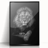 Framed acrylic wall art featuring a striking close-up of a lion design, set against a sleek black border, perfect for animal lovers and wildlife decor enthusiasts.