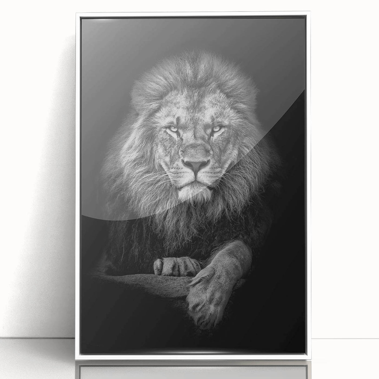 Framed acrylic wall art featuring a striking lion design from the "Animals A Wild Life" collection, set against a white background, ideal for animal lovers and home decor.