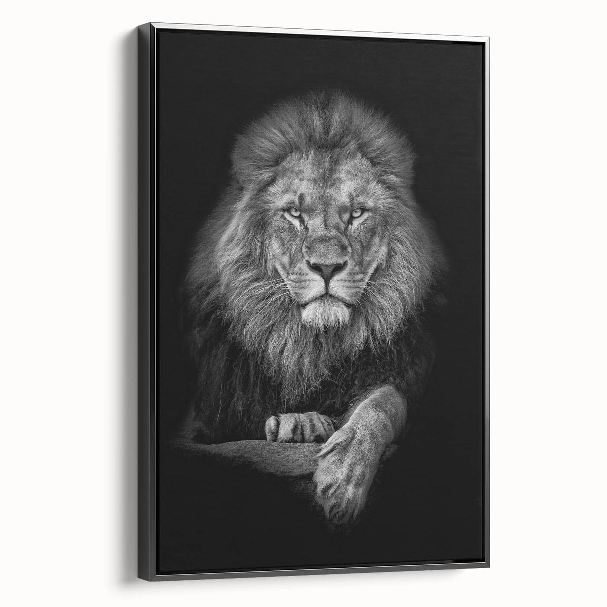 Framed canvas wall art showcasing a majestic lion design in a black frame, perfect for animal lovers and wildlife decor enthusiasts, adding elegance to any space.