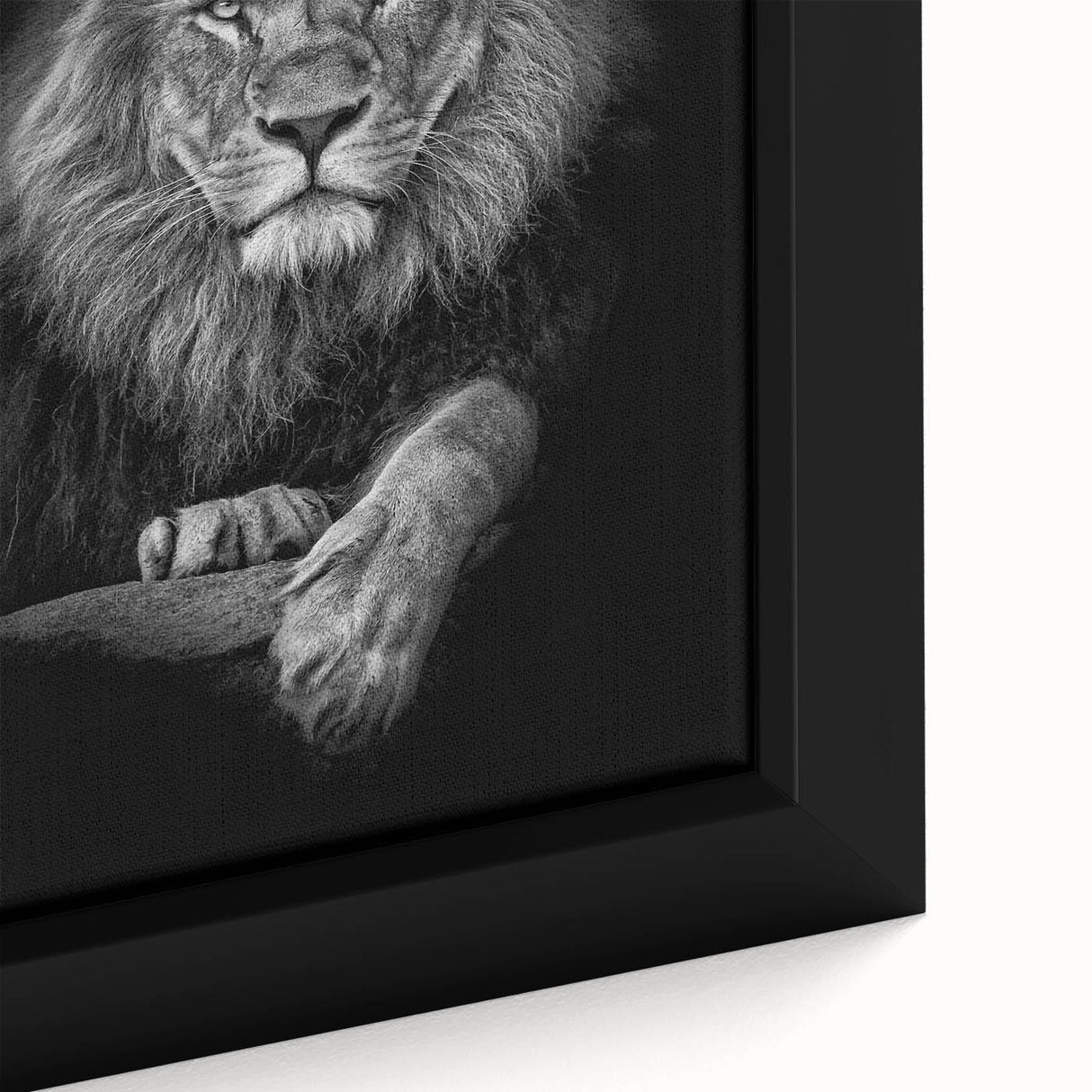 Close-up of a framed canvas featuring a majestic lion design from the Wild Life collection, showcasing vibrant colors and intricate details, perfect for animal lovers.
