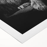 Vibrant rolled canvas featuring a striking lion design, showcasing intricate details and bold colors, perfect for wildlife-themed home decor.