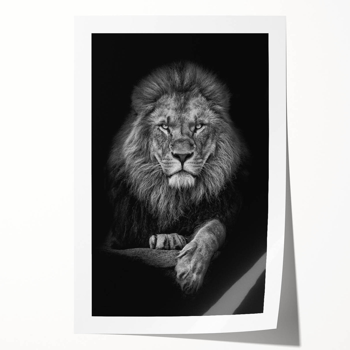 Vibrant rolled wall art print showcasing a majestic lion design, capturing intricate details and bold colors, perfect for wildlife enthusiasts and home decor.