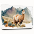 Acrylic glass wall art featuring a detailed side view of a llama and alpaca design, showcasing vibrant colors and intricate patterns, perfect for animal lovers' decor.