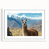 Llama and alpaca-themed wall art collection in a sleek white frame with a mat, showcasing vibrant colors and playful designs, perfect for animal lovers’ decor.
