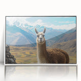 Framed wall art collection featuring a vibrant design of a llama and alpaca, displayed with a white frame, ideal for animal lovers and modern decor enthusiasts.