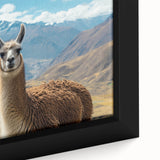 Close-up of a framed canvas wall art featuring a colorful llama and alpaca design, highlighting intricate details and textures, perfect for animal lovers' decor.