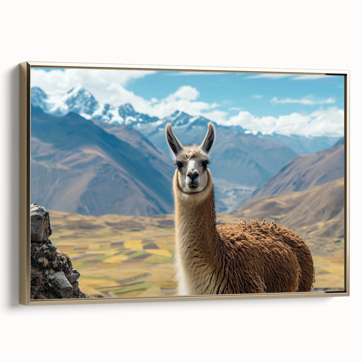 Framed wall art featuring a llama and alpaca design in a stylish gold frame, showcasing vibrant colors and intricate details, perfect for animal lovers and home decor.
