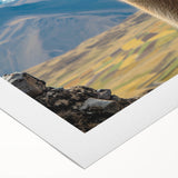 Llama and alpaca-themed rolled canvas wall art collection showcasing vibrant colors and intricate designs, perfect for animal lovers' home decor.