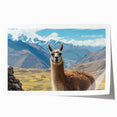 Llama and alpaca wall art print showcasing vibrant wildlife designs on a rolled canvas, perfect for animal-themed decor. Ideal for nature lovers and collectors.