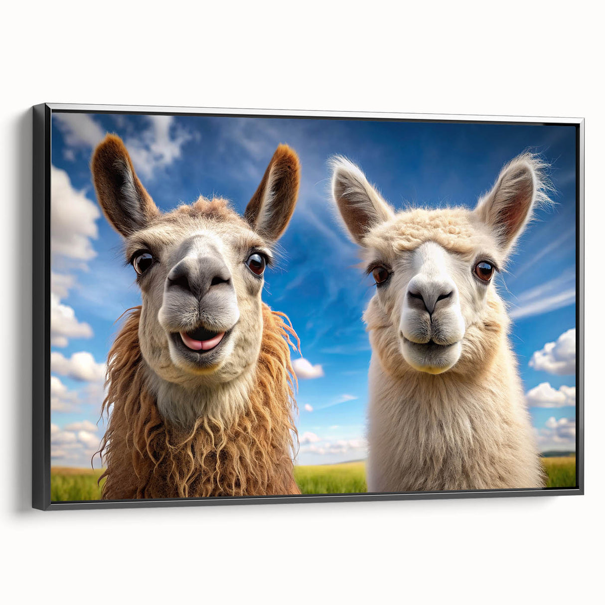 Framed canvas wall art showcasing a side view of a black llama and alpaca design, perfect for enhancing modern home decor with wildlife aesthetics.