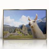 Framed wall art featuring a close-up view of a llama and alpaca design, showcasing vibrant colors and intricate details against a gold-acrylic background. Perfect for animal lovers and contemporary decor.