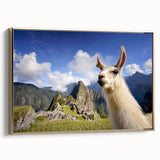 Framed wall art featuring a golden llama and alpaca design, showcasing intricate details and vibrant colors, perfect for animal lovers and home decor enthusiasts.
