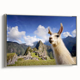 Framed wall art collection featuring a silver side view of a llama or alpaca, showcasing intricate details and a modern design, perfect for animal lovers and home decor enthusiasts.