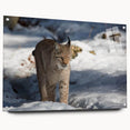 Side view of an acrylic wall art piece featuring a lynx design, showcasing vibrant colors and intricate details, mounted with decorative pins, perfect for nature lovers.