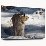 Side view of an acrylic wall art piece featuring a lynx design, showcasing vibrant colors and intricate details, mounted with decorative pins, perfect for nature lovers.