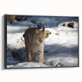 Framed canvas wall art showcasing a striking lynx design in a black frame, perfect for modern home decor. The artwork captures the lynx's intricate details and vibrant colors, adding a touch of wildlife elegance to any space.