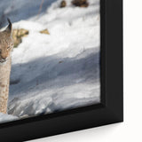 Close-up of a framed canvas artwork showcasing a majestic lynx in a vibrant forest setting, highlighting its detailed fur and piercing gaze, perfect for wildlife enthusiasts.