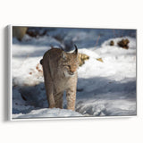 Framed wall art featuring a striking lynx design in a modern style, showcased against a white background, perfect for adding a touch of wildlife elegance to any room decor.