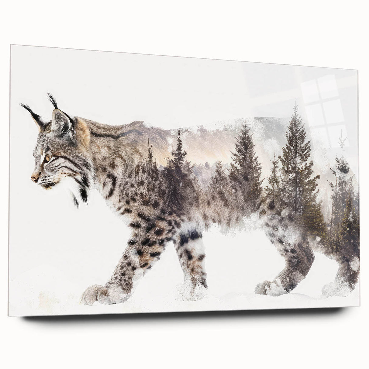 Lynx wall art design on acrylic glass, showcasing a detailed side view of the wild cat in natural colors, perfect for wildlife enthusiasts and home decor.