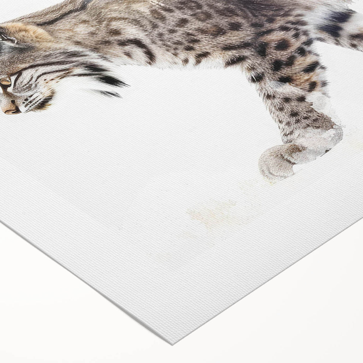 Lynx wall art design on rolled canvas, showcasing vibrant colors and intricate details, ideal for wildlife enthusiasts and home decor. Packaged securely in a cardboard tube.