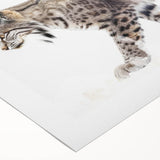 Lynx wall art design on rolled canvas, showcasing vibrant colors and intricate details, ideal for wildlife enthusiasts and home decor. Packaged securely in a cardboard tube.