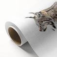 Lynx wall art design on rolled canvas showcasing intricate details and vibrant colors, ideal for wildlife enthusiasts to enhance home decor.