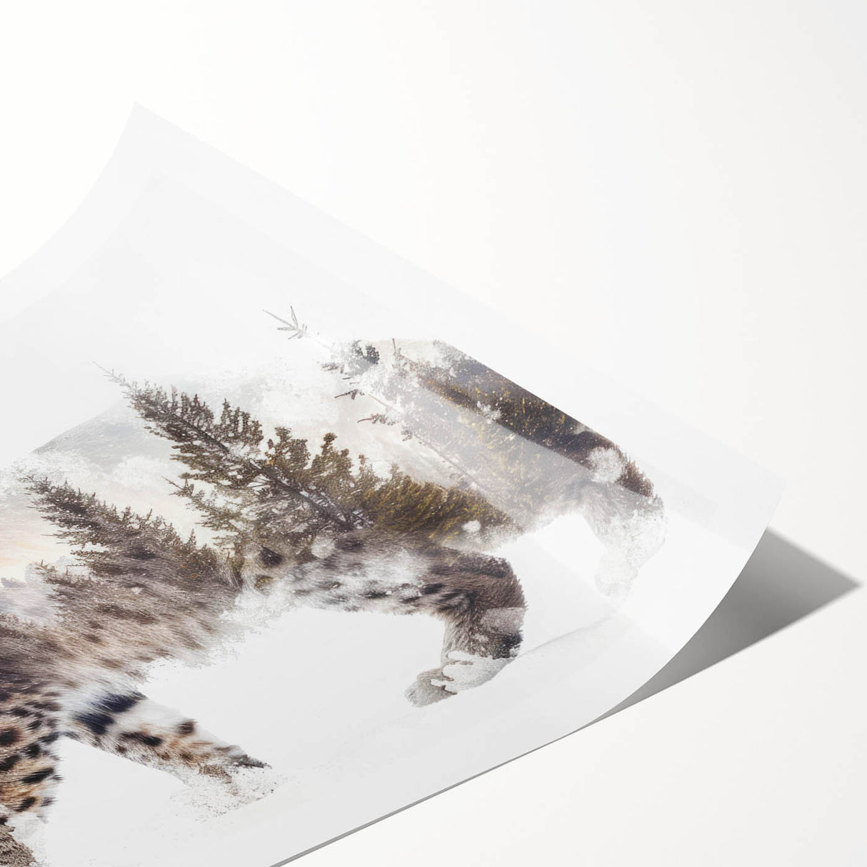 Lynx wall art design featuring a striking illustration of a lynx set against a vibrant forest background, rolled up for easy shipping and display.