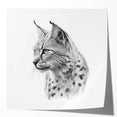 Lynx wall art design featuring a detailed illustration of a lynx in a vibrant, nature-inspired color palette. Ideal for animal lovers and home decor enthusiasts.