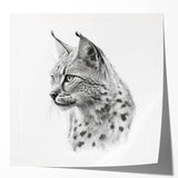Lynx wall art design featuring a detailed illustration of a lynx in a vibrant, nature-inspired color palette. Ideal for animal lovers and home decor enthusiasts.