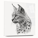 Lynx wall art design displayed in a sleek acrylic glass frame, showcasing vivid colors and intricate details, perfect for wildlife enthusiasts' home decor.