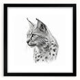Lynx wall art print in a sleek black frame, showcasing a stunning wildlife design with a mat, ideal for animal lovers and modern decor enthusiasts.
