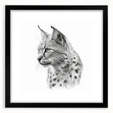 Lynx wall art print in a sleek black frame, showcasing a stunning wildlife design with a mat, ideal for animal lovers and modern decor enthusiasts.