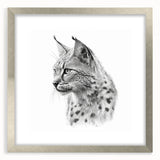 Framed wall art collection featuring a stunning lynx design, elegantly displayed with a silver mat, perfect for enhancing wildlife-themed decor.