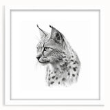 Lynx wall art collection framed with a white mat, showcasing a beautifully detailed wildlife design perfect for nature-themed decor in homes or offices.