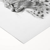 Artwork featuring a majestic lynx in a vibrant, nature-inspired setting, printed on high-quality rolled canvas, ideal for wildlife enthusiasts and home decor.