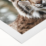 Lynx wall art design on rolled canvas, showcasing a vibrant depiction of a wild lynx in a natural setting, perfect for animal lovers and home decor enthusiasts.