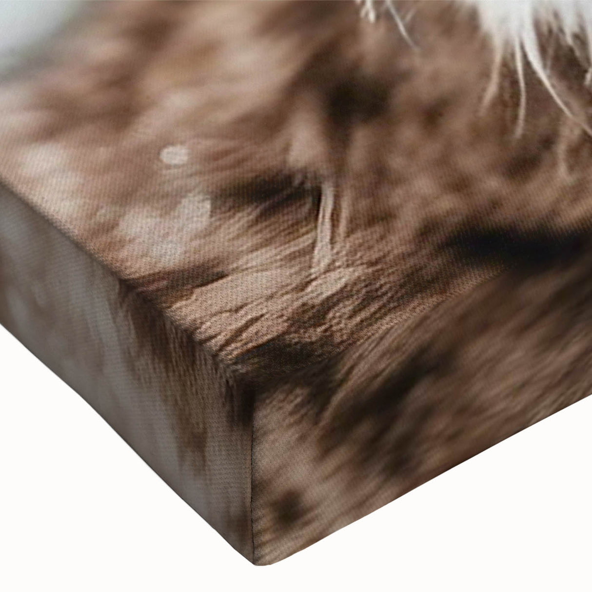 Close-up of a stretched canvas wall art piece featuring a lynx in a natural setting, showcasing intricate details and vibrant colors, ideal for wildlife enthusiasts.