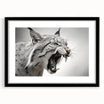 Lynx wall art design featuring a striking black frame and mat, showcasing detailed wildlife imagery, perfect for enhancing home decor with a nature theme.