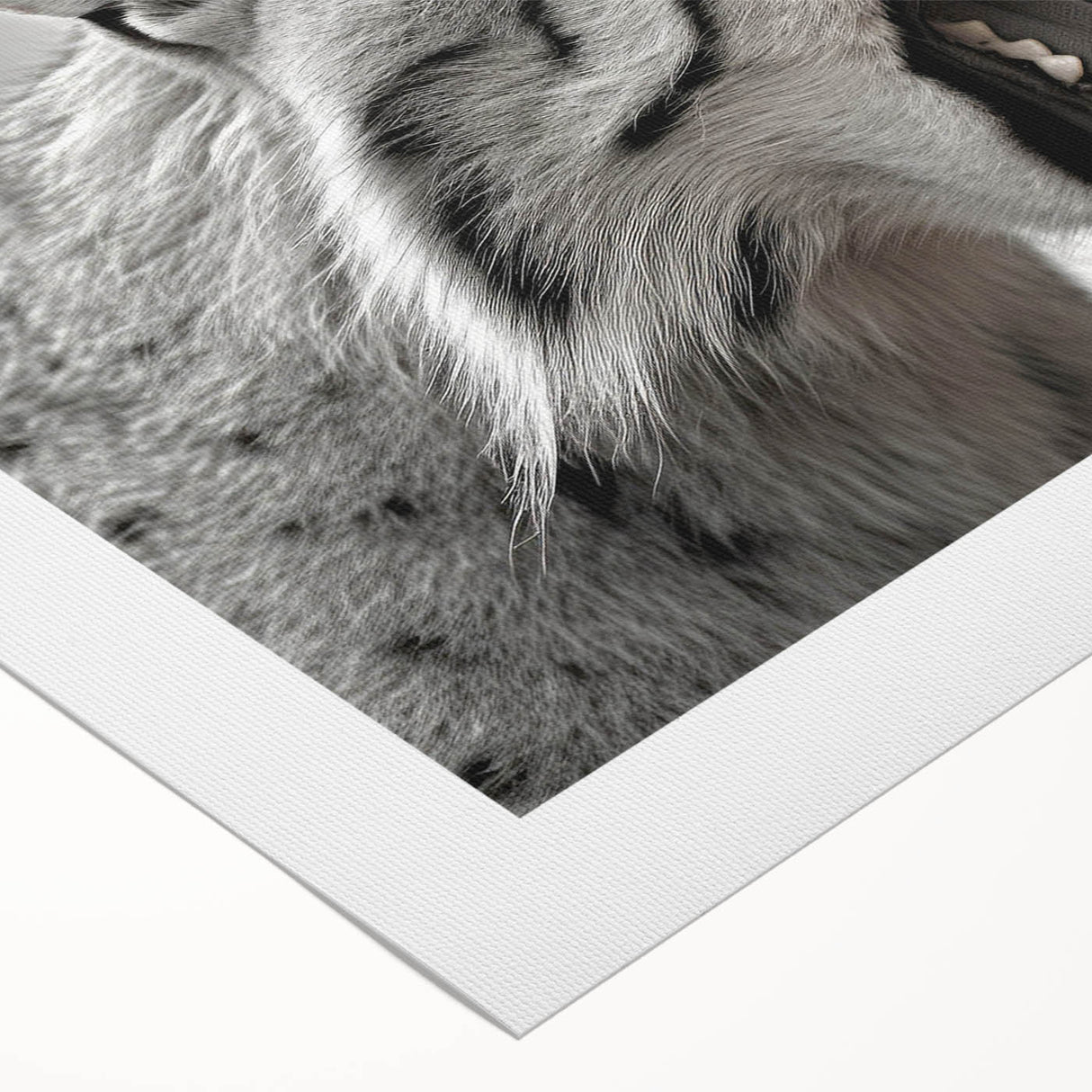 Lynx design wall art on rolled canvas, showcasing a vibrant wildlife theme with detailed fur textures and natural colors, perfect for animal lovers and home decor.