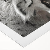 Lynx design wall art on rolled canvas, showcasing a vibrant wildlife theme with detailed fur textures and natural colors, perfect for animal lovers and home decor.