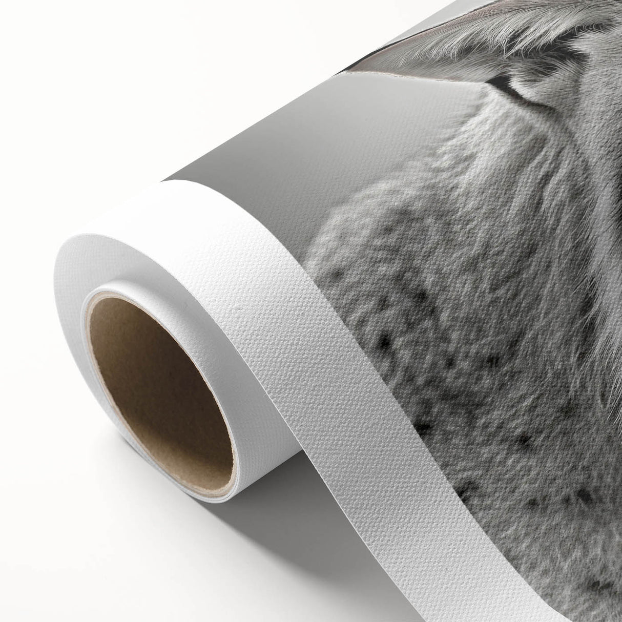 Lynx wall art design on rolled canvas showcases a vibrant and detailed depiction of a wild lynx in its natural habitat, perfect for wildlife enthusiasts.