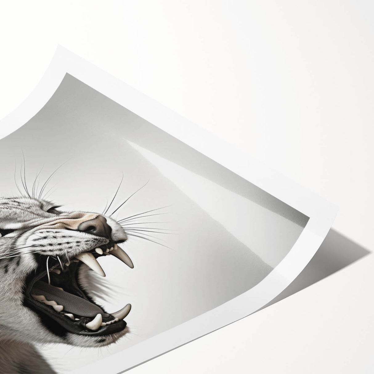 Lynx wall art design print showcasing a striking illustration of a wild lynx in a natural setting, rolled for easy display and transportation. Ideal for wildlife enthusiasts.