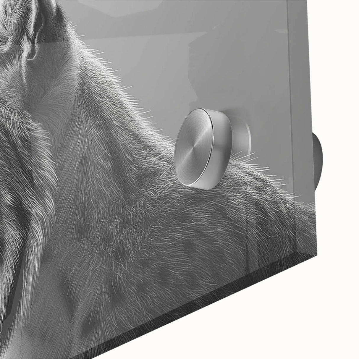 Close-up of a stunning lynx wall art design printed on acrylic glass, showcasing vibrant colors and intricate details, perfect for wildlife enthusiasts' home decor.