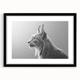 Lynx wall art design framed in black, showcasing a majestic wild lynx against a natural backdrop, perfect for nature lovers and home decor enthusiasts.