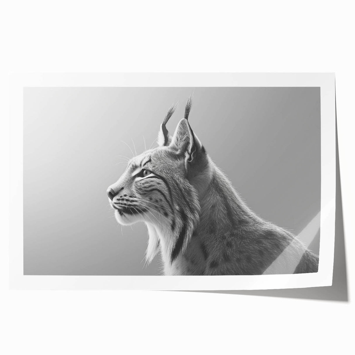 Lynx wall art print showcasing a vibrant, detailed illustration of a wild lynx in natural colors, rolled and ready for display in a protective tube.