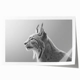 Lynx wall art print showcasing a vibrant, detailed illustration of a wild lynx in natural colors, rolled and ready for display in a protective tube.