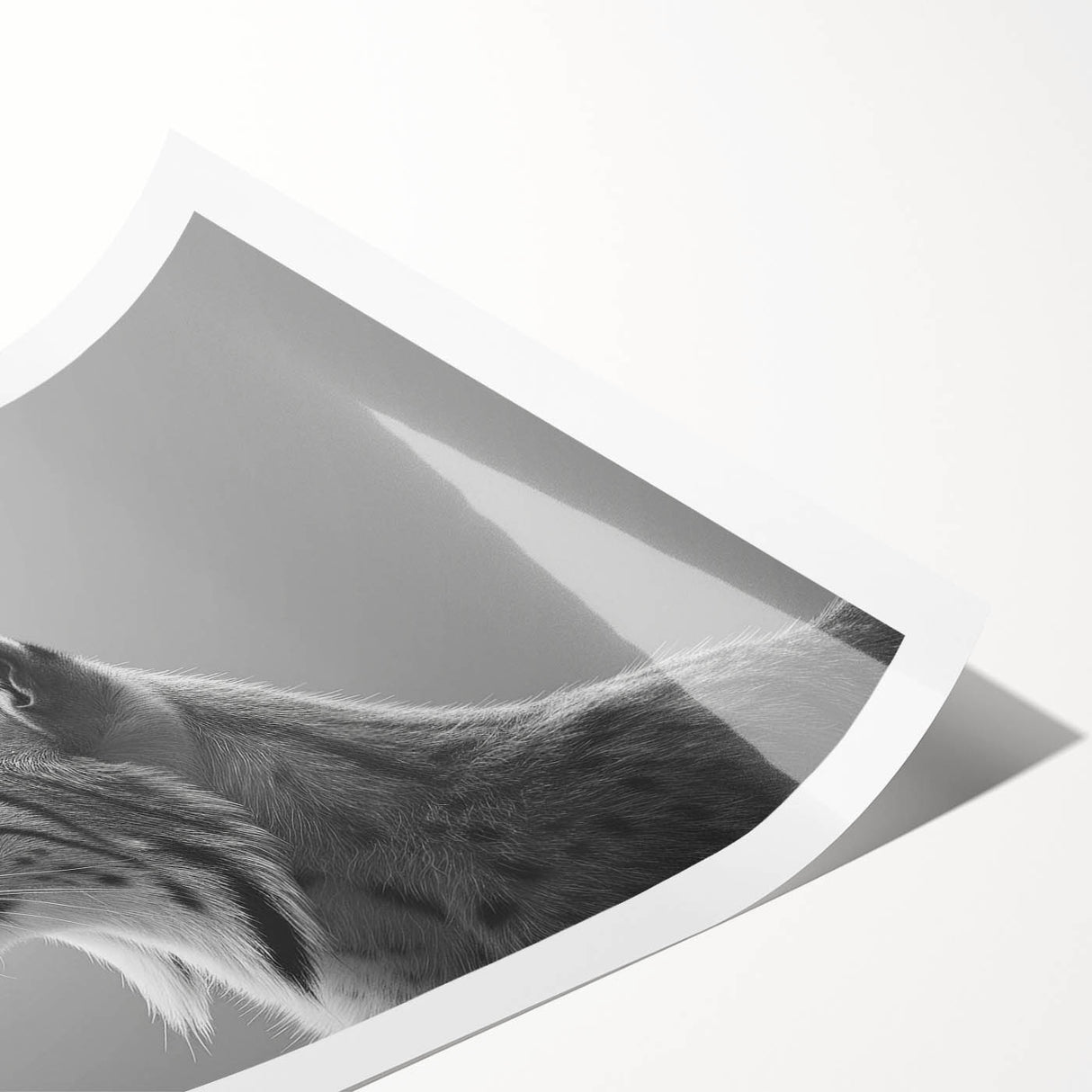Lynx-themed wall art print showcasing a detailed, vibrant illustration of a lynx in its natural habitat, emphasizing the animal's striking features and colors. Ideal for wildlife enthusiasts and home decor.