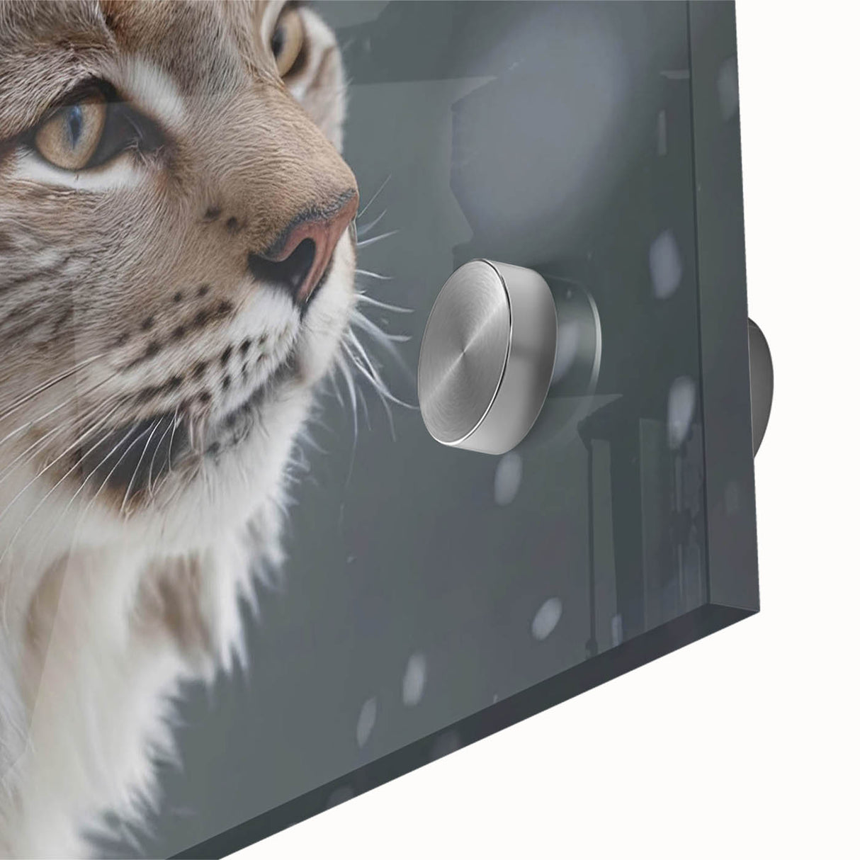 Close-up of a stunning lynx wall art design, showcasing intricate details and vibrant colors on acrylic glass, perfect for wildlife enthusiasts' decor.